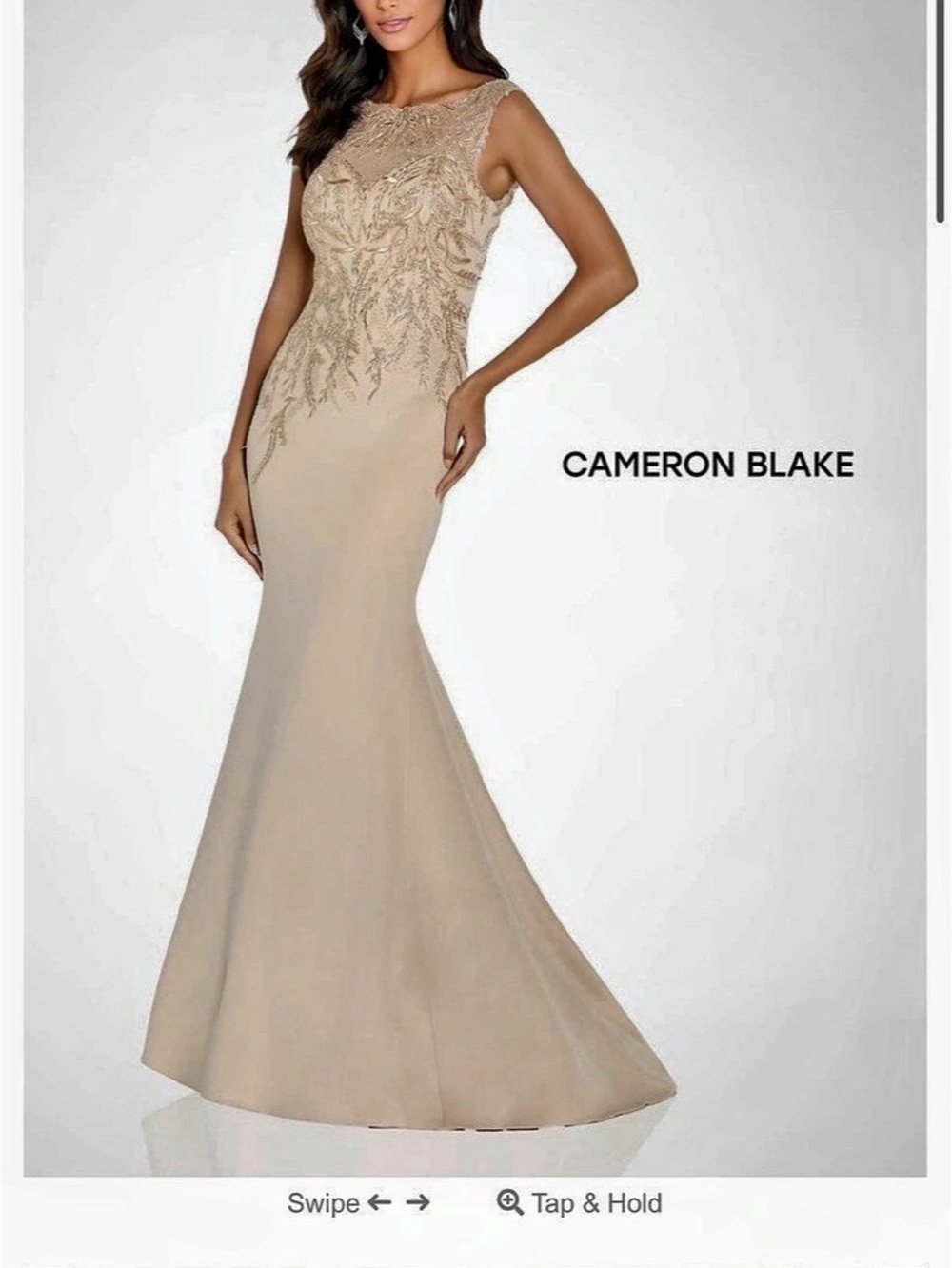Cameron Blake Lace Bodice Maxi Dress in Champagne